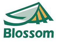 blossom