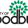Woodbury Minnesota Logo