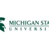 Michigan state university