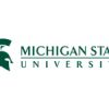 Michigan state university